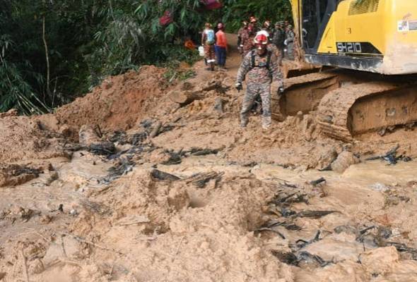 tanahruntuh_father's organic farm